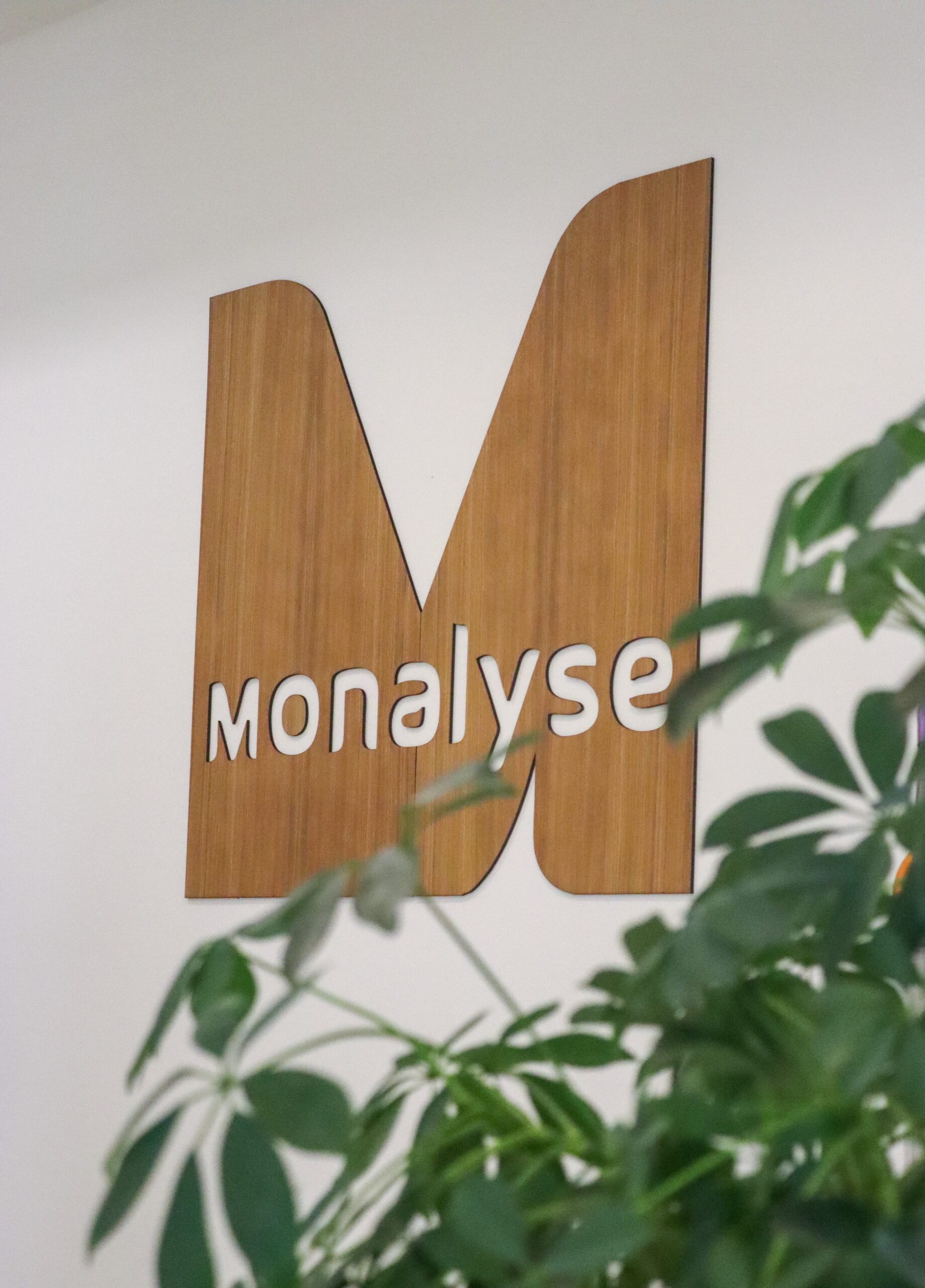 IMG_8522 Jorian Haas media monitoring expert