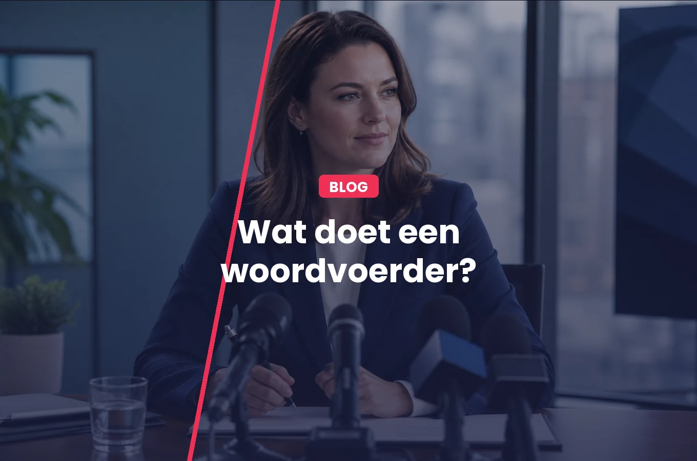Wat doet een woordvoerder?